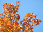 C20091021_075H