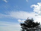 C20091021_099H