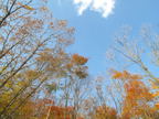 C20091021_106H