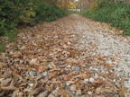 C20091021_108H