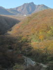 C20091021_118V