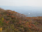 C20091021_124H