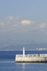 D2009154_004V