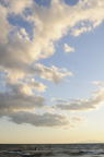 D2009155_032V