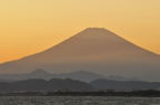 D2009155_050H