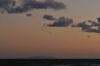 D2009155_068H