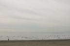 D2009156_001H