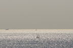 D2009158_001H