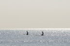 D2009158_022H