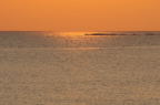 D2009159_010H