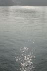 D2009161_011V