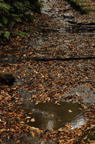 D2009170_007V