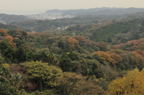 D2009170_039H
