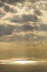 D2009171_057V