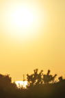 D2009173_012V