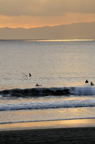 D2009174_005V