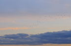 D2009174_053H