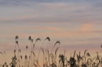 D2009178_056H