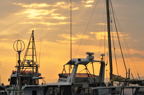 D2009179_014H
