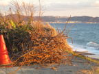 C20091217_034H