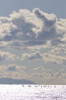 D2009183_003V