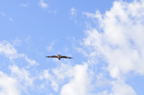 D2009183_023H