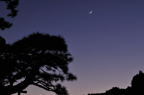 D2009184_017H