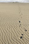 D2009185_034V