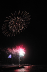 D2009186_031V