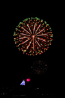 D2009186_038V