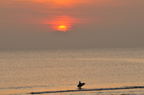 D2009187_013H