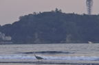 D2009187_022H