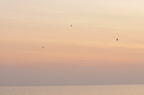 D2009187_025H