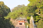 D2009188_010H