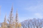 D2009189_002H