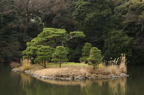 D2009190_043H