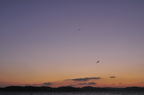D2009193_022H