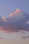 D2009193_040V