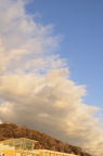 D2009194_025V