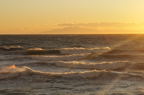 D2009194_033H