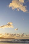D2010001_078V