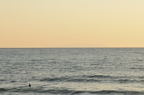D2010003_008H