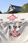 D2010005_006V