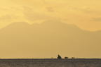 D2010009_034H