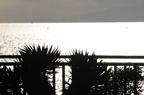D2010010_022H