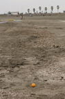 D2010013_012V