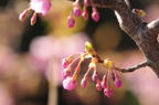 D2010014_004H