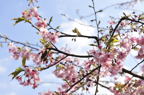 D2010014_008H