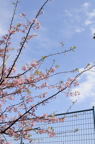 D2010014_010V