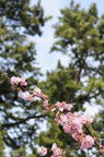 D2010014_016V